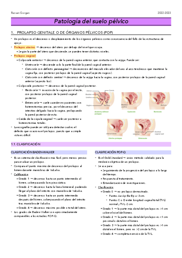 Miniatura del documento G8.-Patologia-suelo-pelvico.pdf