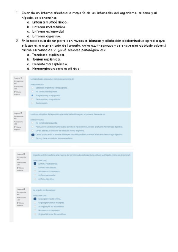 Miniatura del documento PREGUNTAS-APE-RESUELTAS.pdf