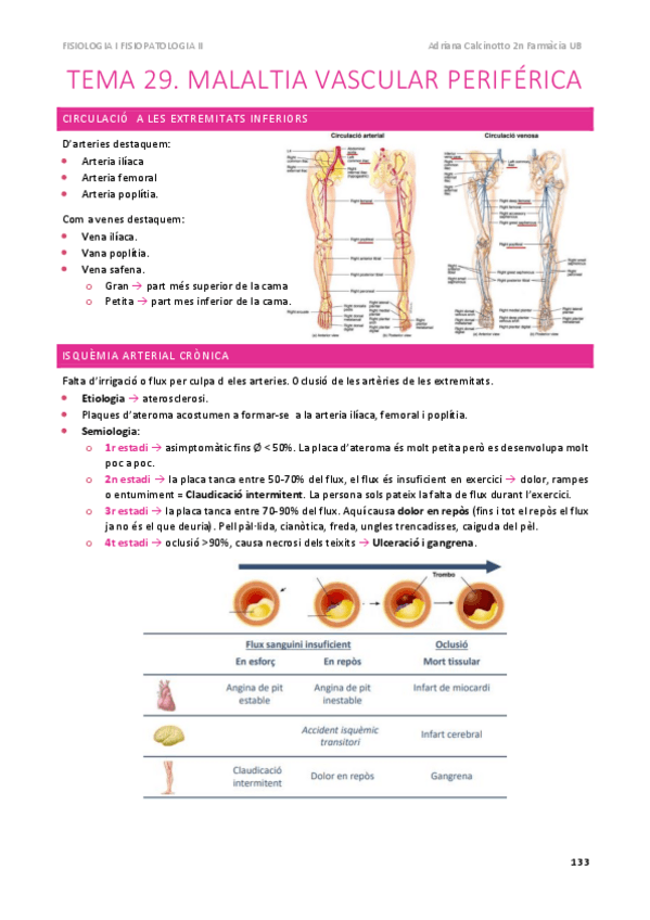 Miniatura del documento FISIOPATO-II-apunts-bloc-VII-fins-tema-40.pdf