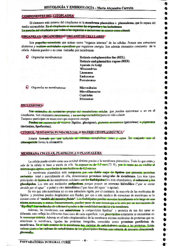 Miniatura del documento MIS-APUNTES-BIOESTADISTICA-38.pdf