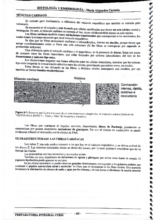 Miniatura del documento MIS-APUNTES-BIOESTADISTICA-42.pdf