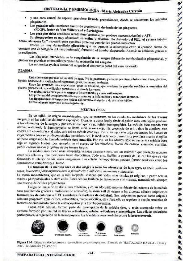 Miniatura del documento MIS-APUNTES-BIOESTADISTICA-43.pdf