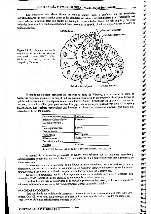 Miniatura del documento MIS-APUNTES-BIOESTADISTICA-46.pdf