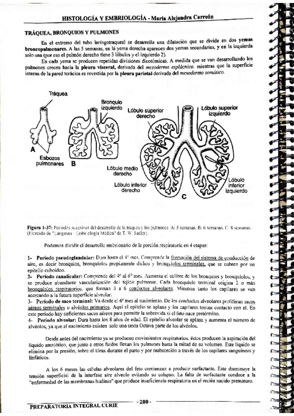 Miniatura del documento MIS-APUNTES-BIOESTADISTICA-52.pdf