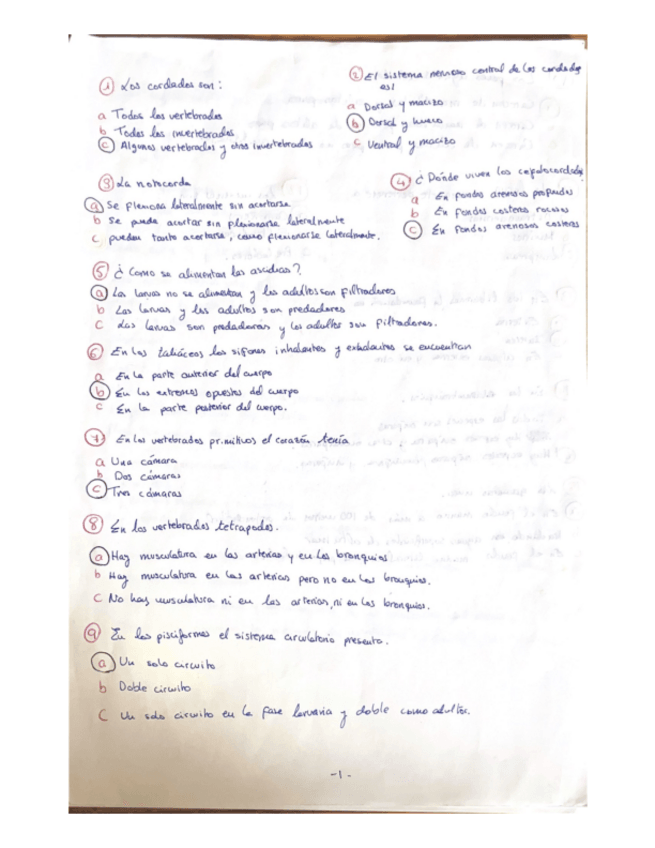 Miniatura del documento PREGUNTAS-DE-EVALUACION-CONTINUA.pdf