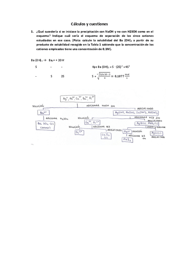 Miniatura del documento Cuestiones-Separacion-e-identificacion-de-especies.pdf