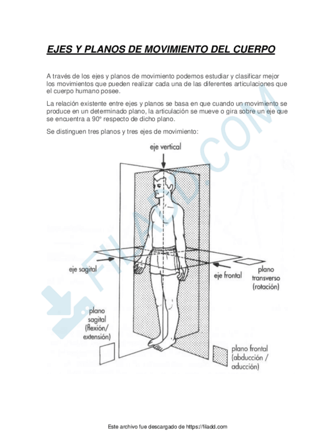 Miniatura del documento EJES-Y-PLANOS-DE-MOVIMIENTO-DEL-CUERPO.pdf