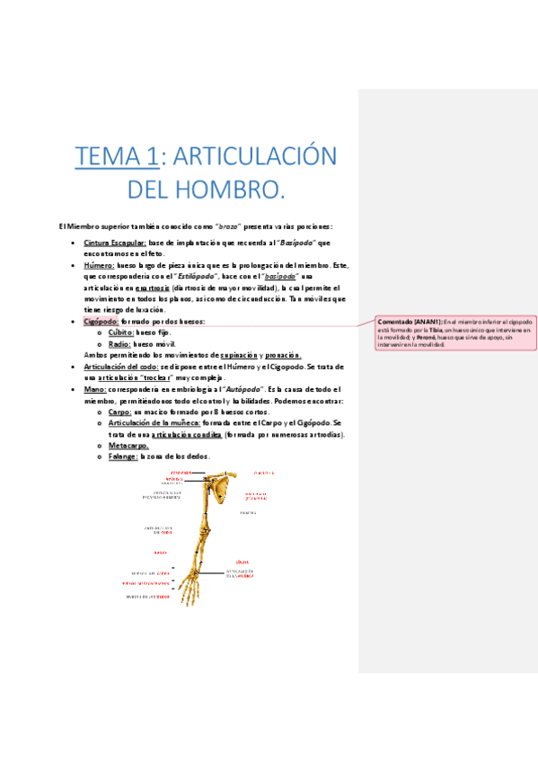 Miniatura del documento TEMA 1 y 2. ARTICULACIÓN DEL HOMBRO.pdf