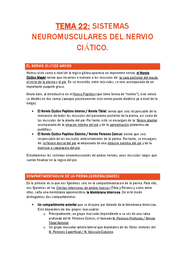 Miniatura del documento TEMA 22. SISTEMA NEUROMUSCULAR DEL NERVIO CIÁTICO.pdf