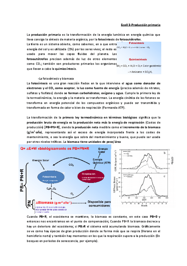 Miniatura del documento EcoII 3.pdf