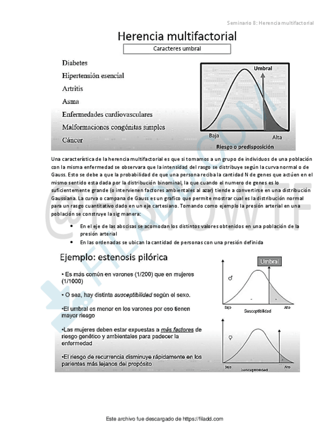 Miniatura del documento ilovepdfmerged-5.pdf