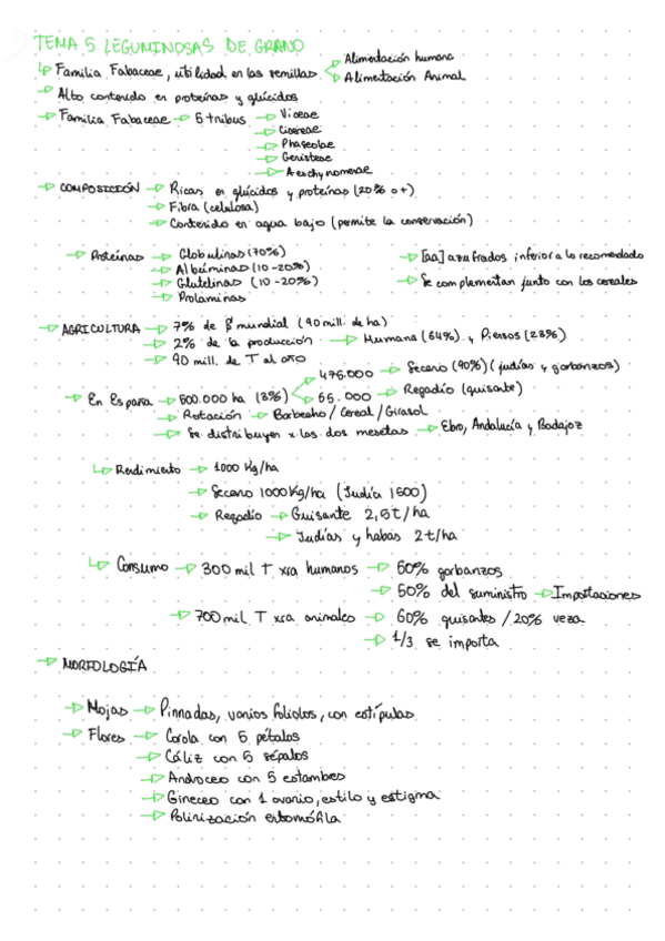 Miniatura del documento TEMA-5.-Leguminosas-de-grano..pdf