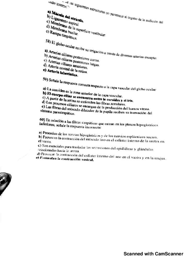 Miniatura del documento Ex.-ANATO-II.pdf