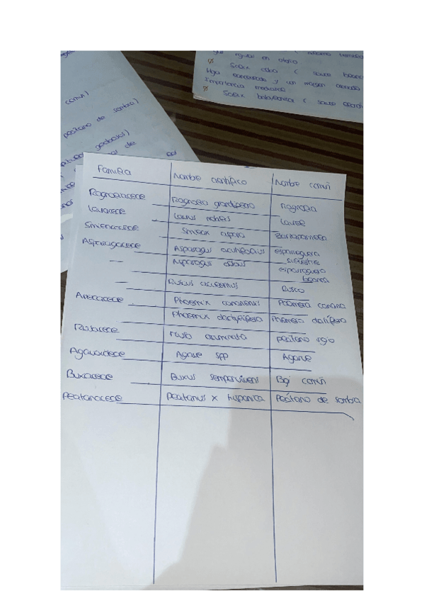 Miniatura del documento ESPECIES-VISU.pdf