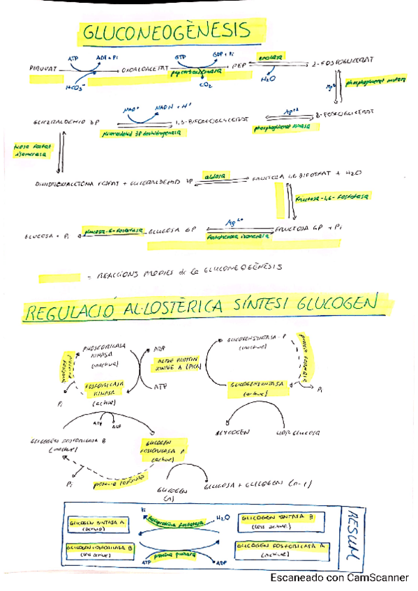 Miniatura del documento Apunts.pdf