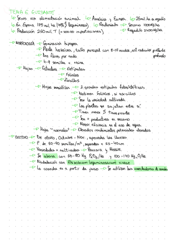 Miniatura del documento TEMA-6.-Guisante.pdf
