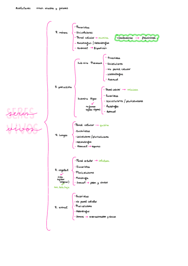 Miniatura del documento Esquema-Reinos.pdf
