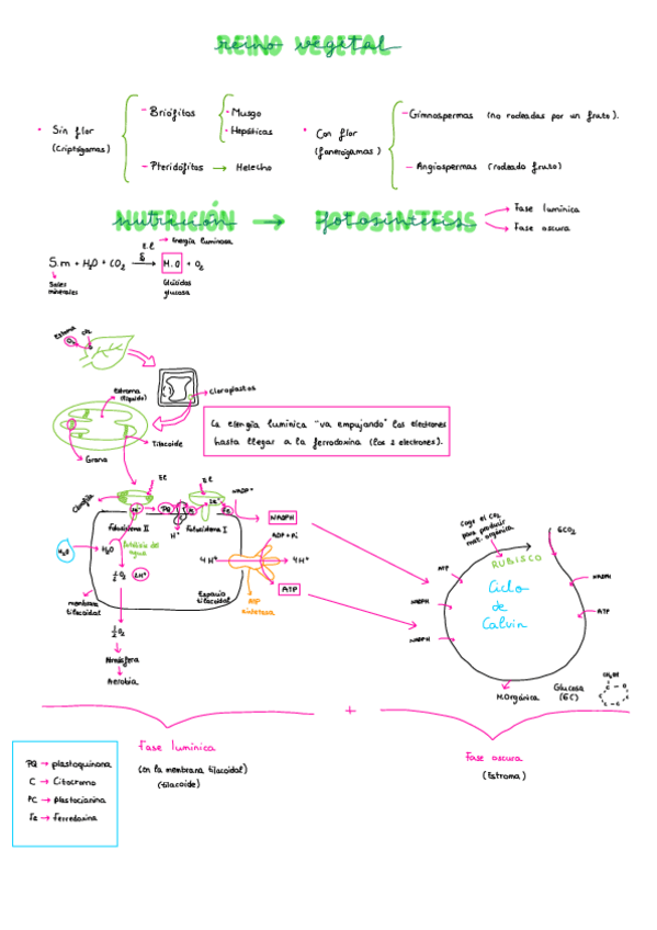 Miniatura del documento Apuntes-tema-9.pdf