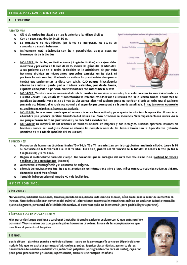 Miniatura del documento TEMA-3-PATOLOGIA-DE-LA-TIROIDES.pdf