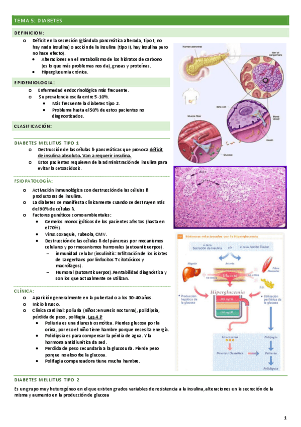 Miniatura del documento TEMA-5-DIABETES.pdf