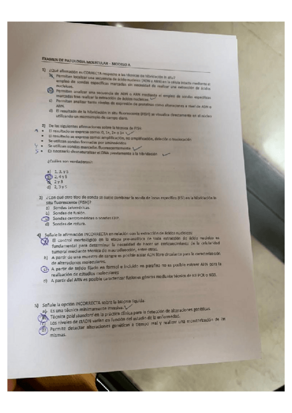 Miniatura del documento modeloA.pdf