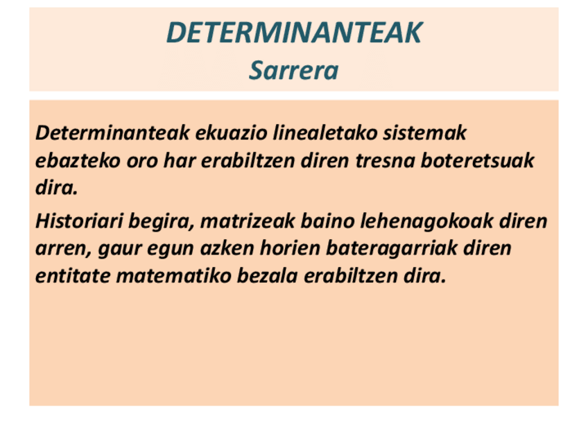 Miniatura del documento DETERMINANTEAK-GizarteMate.pdf