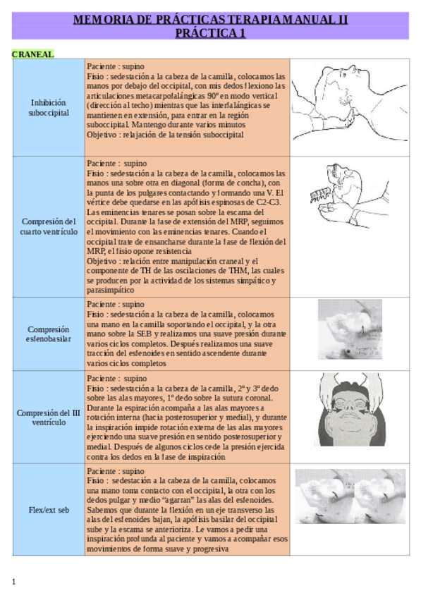 Miniatura del documento Memoria-de-practicas-para-el-ex-final.pdf