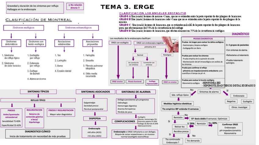 Miniatura del documento COSAS IMP T3: ERGE Y BARRET.pdf