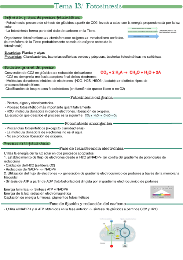 Miniatura del documento Tema-13.pdf