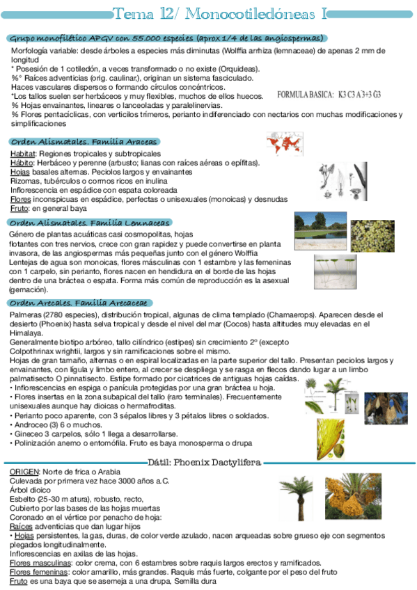 Miniatura del documento Tema-12-1a-Parte.pdf