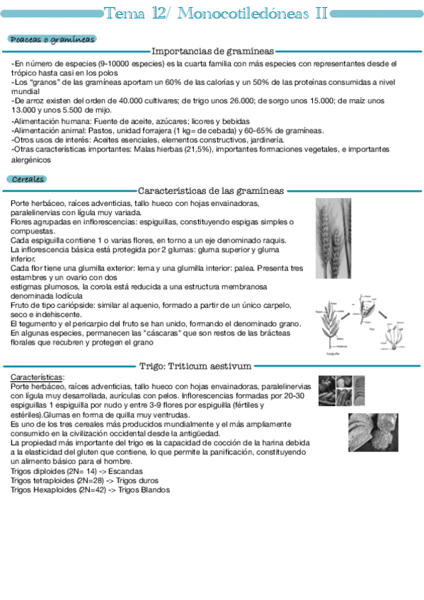 Miniatura del documento Tema-12-2a-Parte.pdf