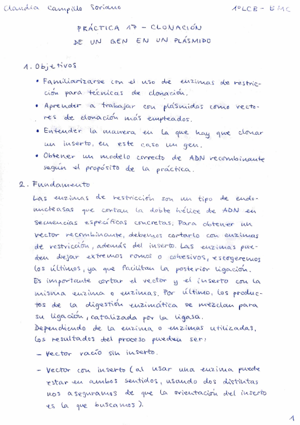 Miniatura del documento Memoria de prácticas RA7.pdf