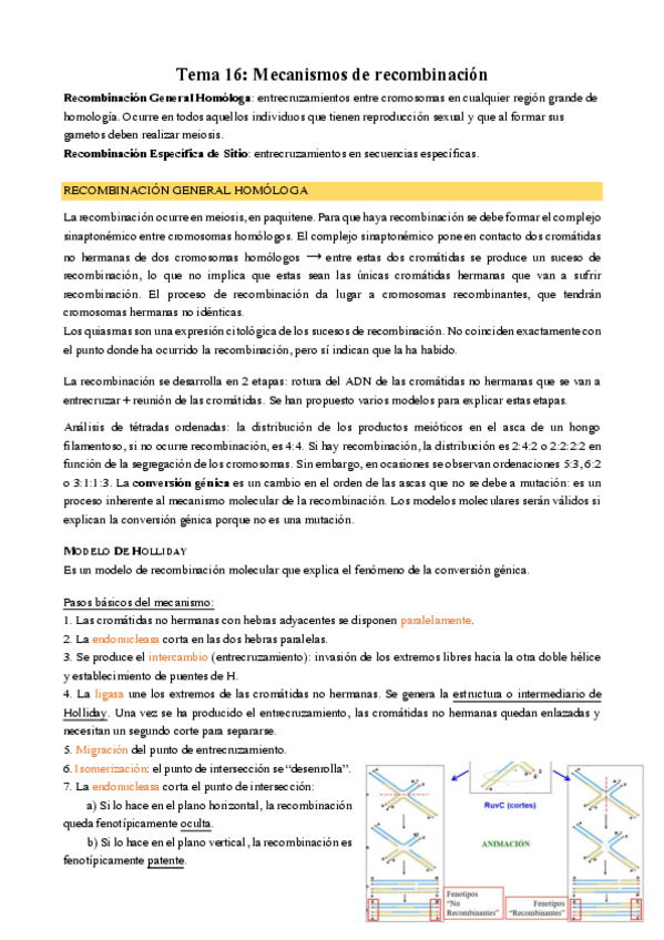 Miniatura del documento Tema-16.pdf