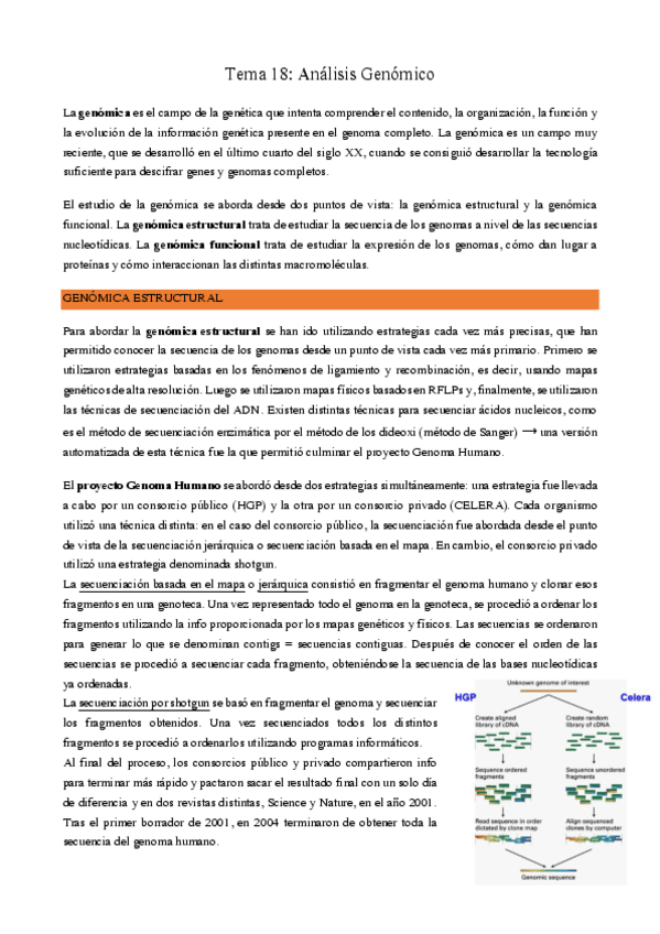 Miniatura del documento Tema-18.pdf