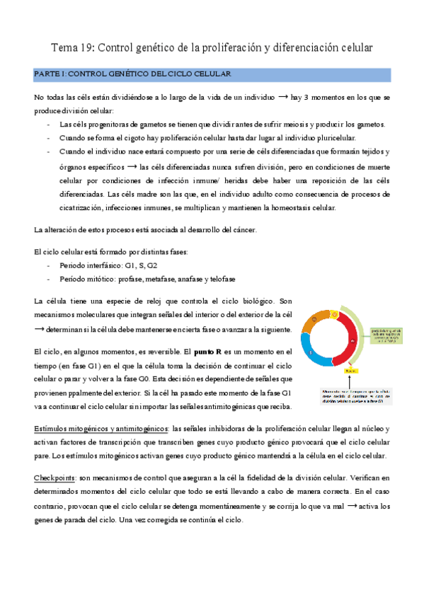 Miniatura del documento Tema-19.pdf