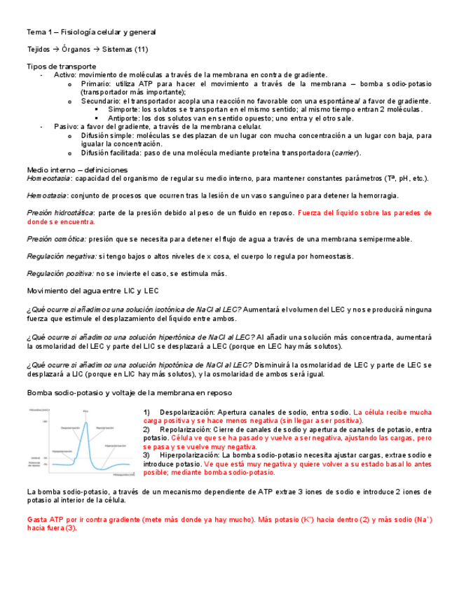 Miniatura del documento Puntos-importantes-Fisiologia-Tema-1.pdf