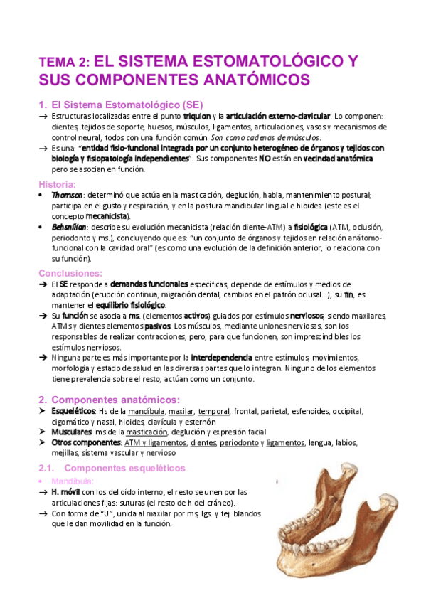 Miniatura del documento Tema-2-SE-componentes-anatomicos.pdf