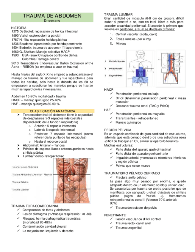 Miniatura del documento TRAUMA-ABDOMINAL.pdf
