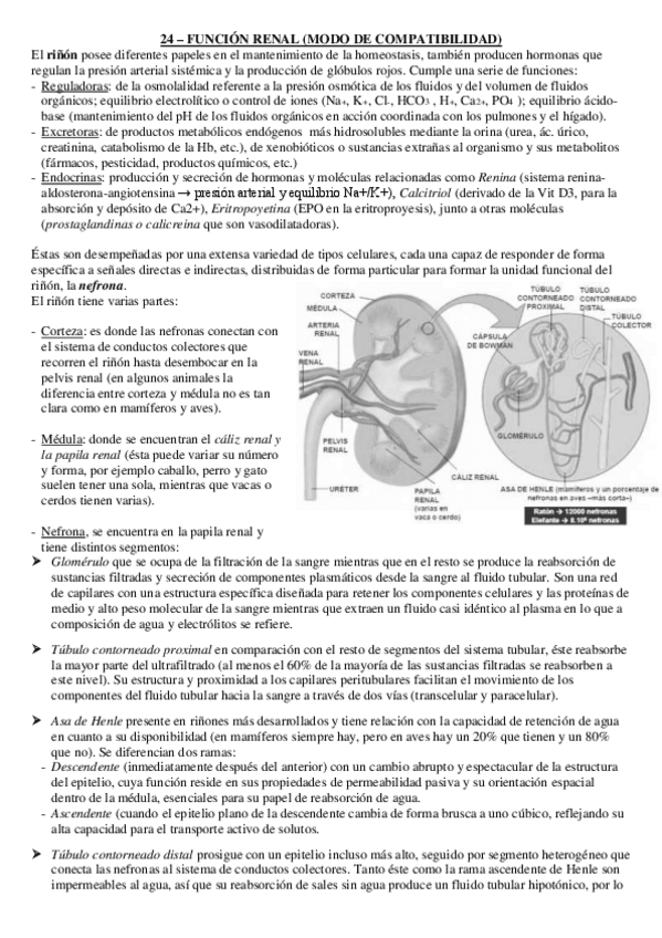 Miniatura del documento Apuntes Fisiología I T24-27.pdf