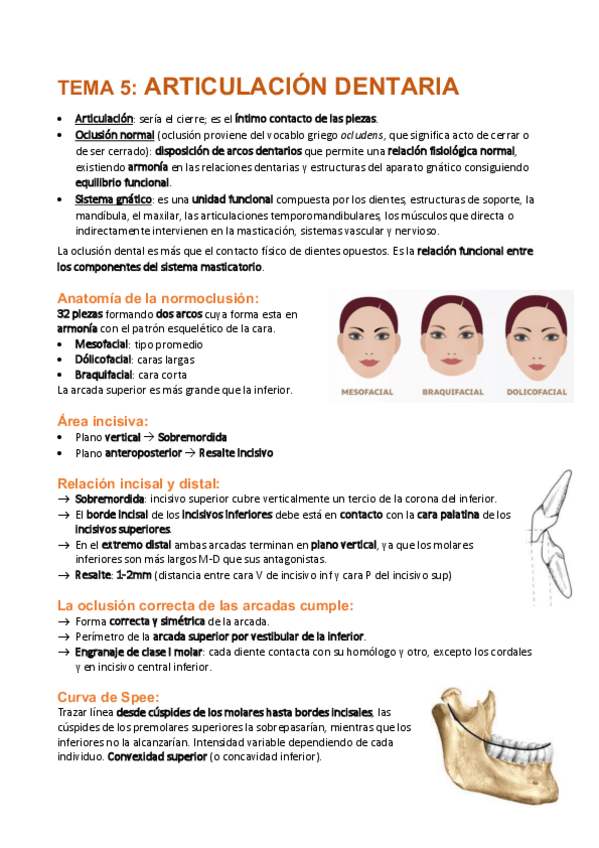 Miniatura del documento Tema-5-Articulacion-dentaria.pdf
