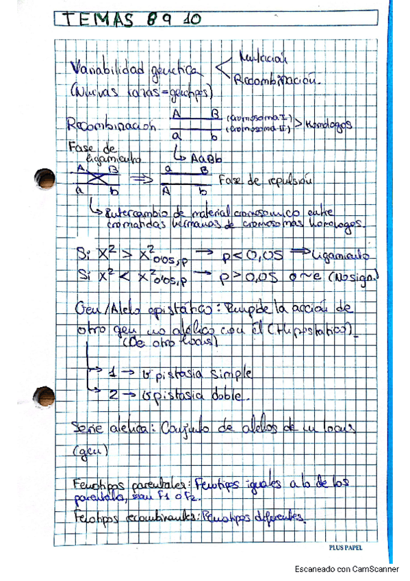 Miniatura del documento Temas 8 9 10.pdf