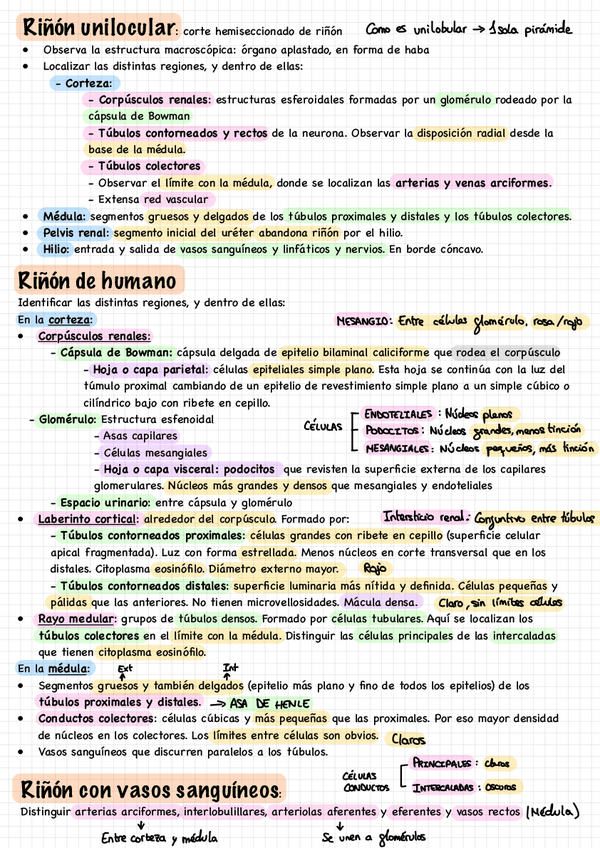 Miniatura del documento M8-Practica-Fase-2.pdf