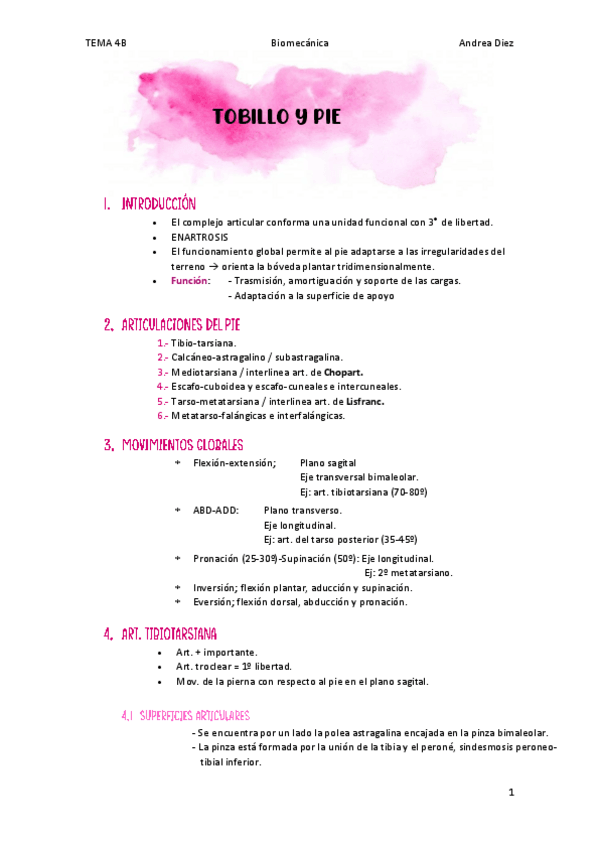 Miniatura del documento TEMA-4B-EL-TOBILLO-Y-EL-PIE.pdf