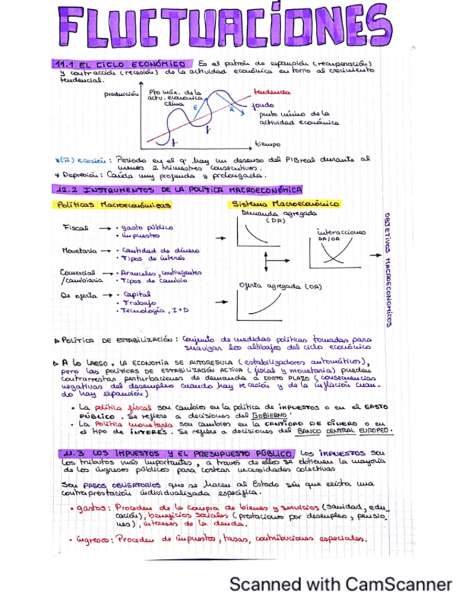 Miniatura del documento TEMA11-FLUCTUACIONES.pdf