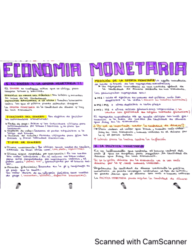 Miniatura del documento TEMA12-ECONOMIA-MONETARIA.pdf