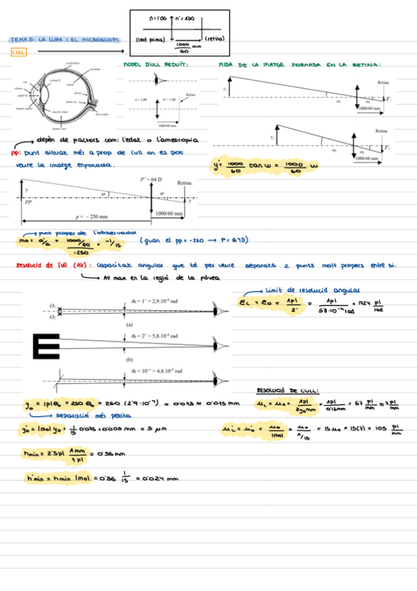 Miniatura del documento 5.-lupa-i-microscopi--exercicis.pdf