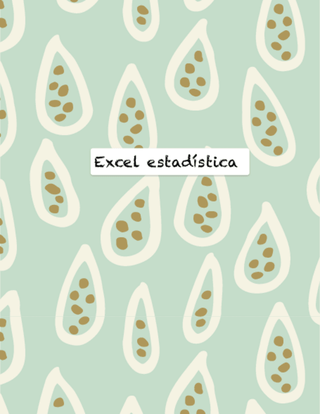 Miniatura del documento pasos-excel.pdf