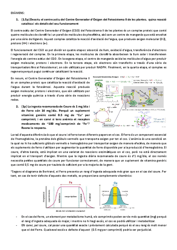 Miniatura del documento INOPreguntes.pdf