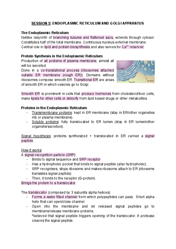 Miniatura del documento SESSION-5-endoplasmic-reticulum-and-golgi-apparatus.pdf