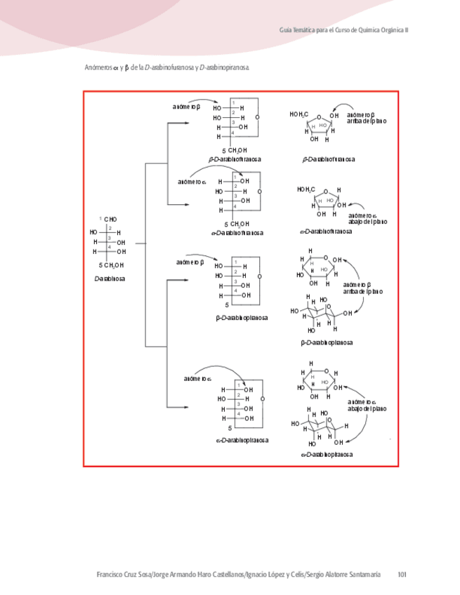 Miniatura del documento Curso-de-Quimica-Organica-II-1-6.pdf